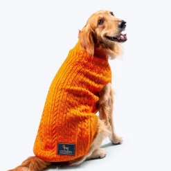 HUFT Cable Knit Dog Sweater - Orange