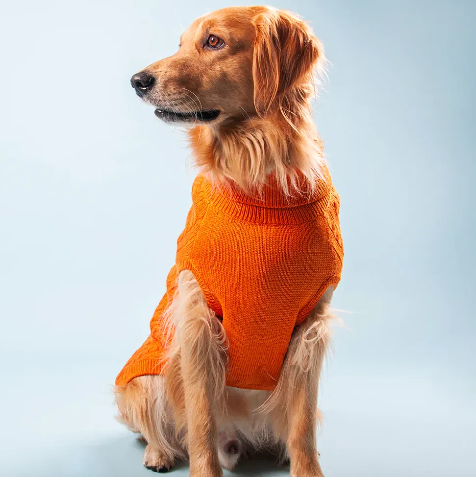 HUFT Cable Knit Dog Sweater - Orange