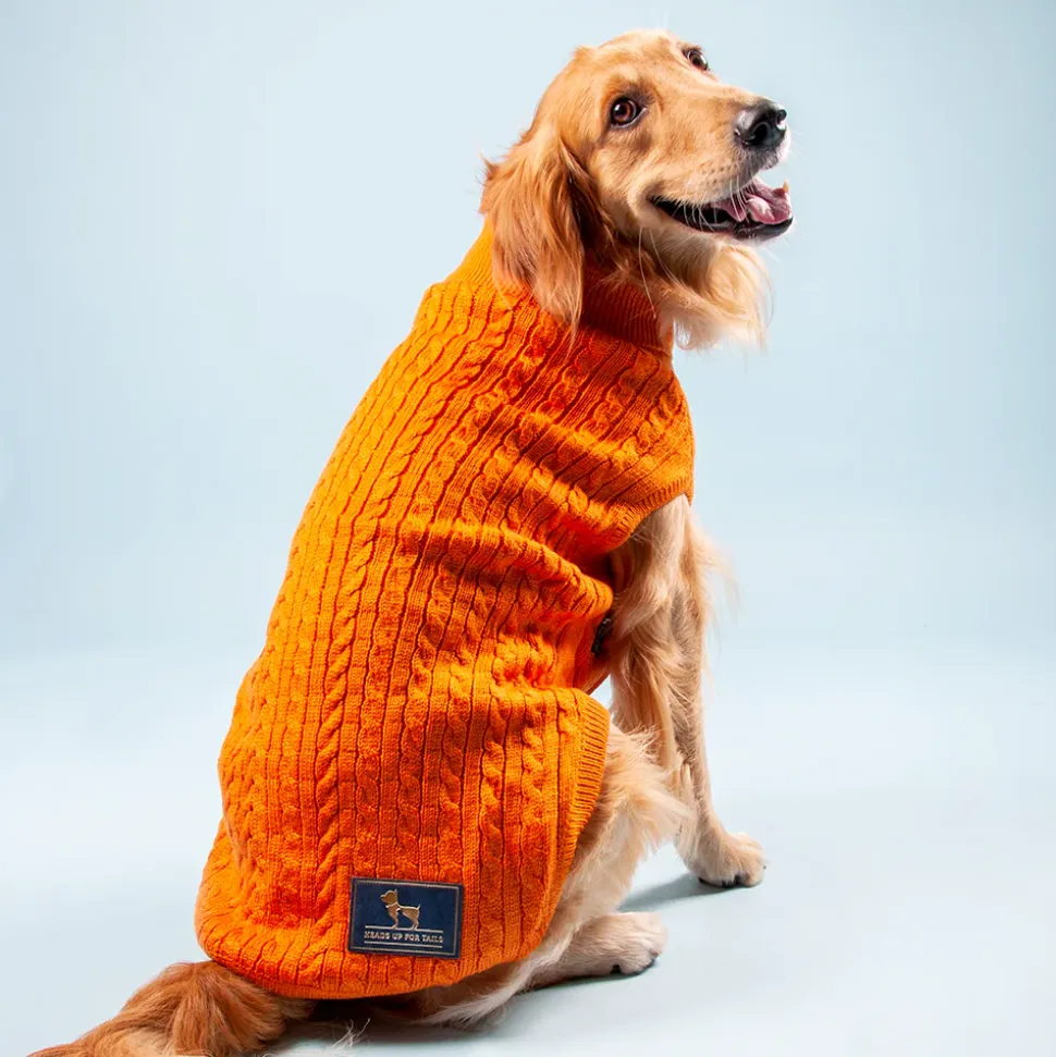 HUFT Cable Knit Dog Sweater - Orange
