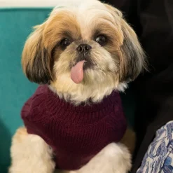 HUFT Cable Knit Dog Sweater - Mauve