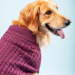 HUFT Cable Knit Dog Sweater - Mauve