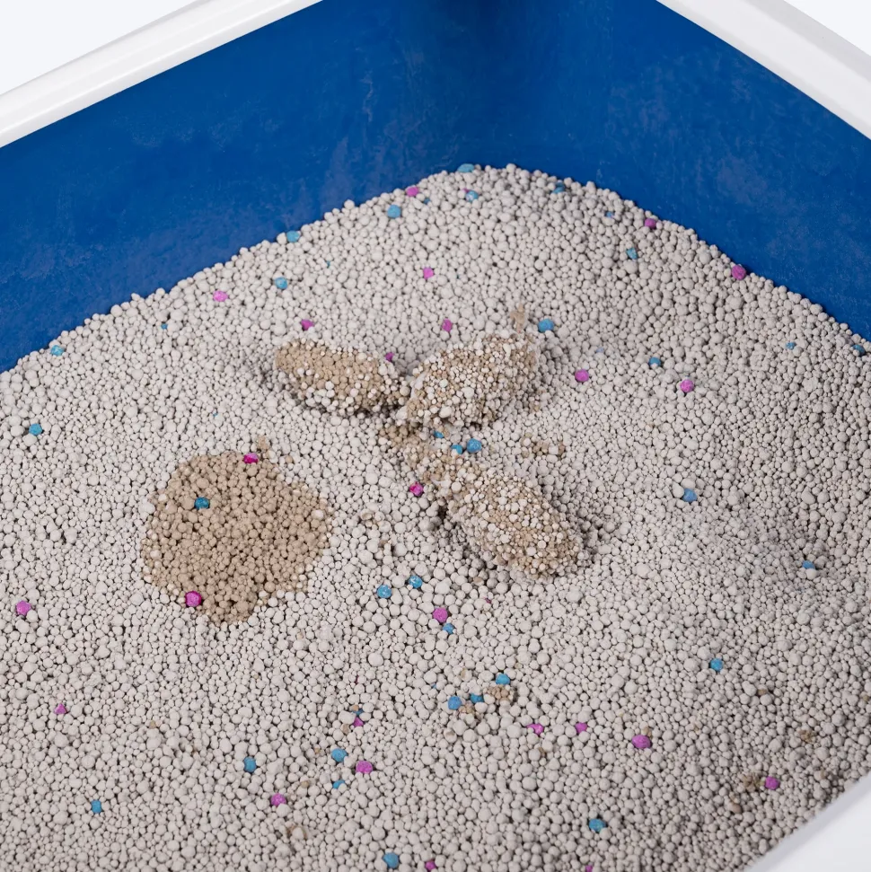 HUFT Cat Litter (Natural & Clumping) - Lavender Scented - 5 kg