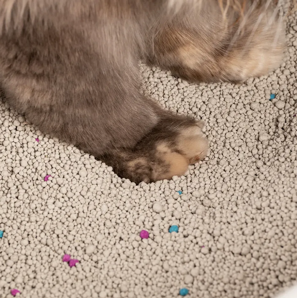 HUFT Cat Litter (Natural & Clumping) - Lavender Scented - 5 kg