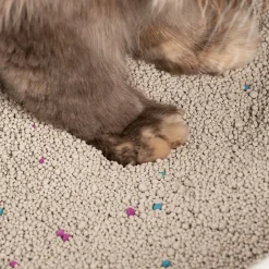 HUFT Cat Litter (Natural & Clumping) - Unscented - 10 kg