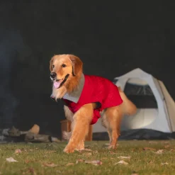 HUFT Charming Cherry Jacket For Big Dog - Red