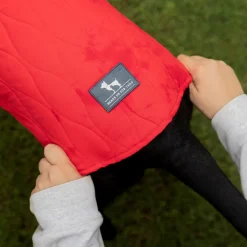 HUFT Charming Cherry Jacket For Big Dog - Red