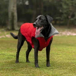 HUFT Charming Cherry Jacket For Big Dog - Red
