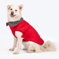 HUFT Charming Cherry Jacket For Big Dog - Red