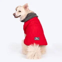 HUFT Charming Cherry Jacket For Big Dog - Red