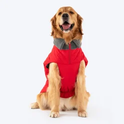 HUFT Charming Cherry Jacket For Big Dog - Red