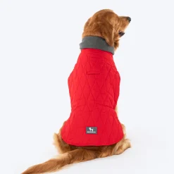 HUFT Charming Cherry Jacket For Big Dog - Red