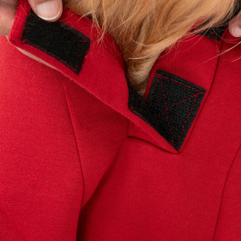 HUFT Cherry Sweet Sweatshirt With Hood For Big Dog - Red