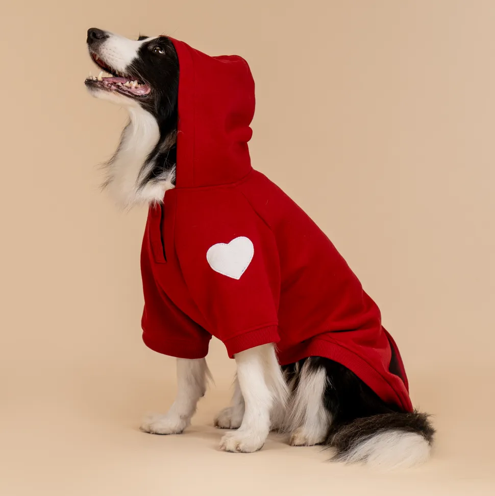 HUFT Cherry Sweet Sweatshirt With Hood For Big Dog - Red