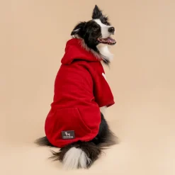 HUFT Cherry Sweet Sweatshirt With Hood For Big Dog - Red