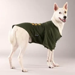 HUFT Chief Cuddle Officer Pet Sweatshirt - Green