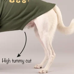 HUFT Chief Cuddle Officer Pet Sweatshirt - Green