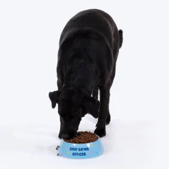 HUFT Chief Eating Officer Printed Melamine Bowl For Dog - Skyblue