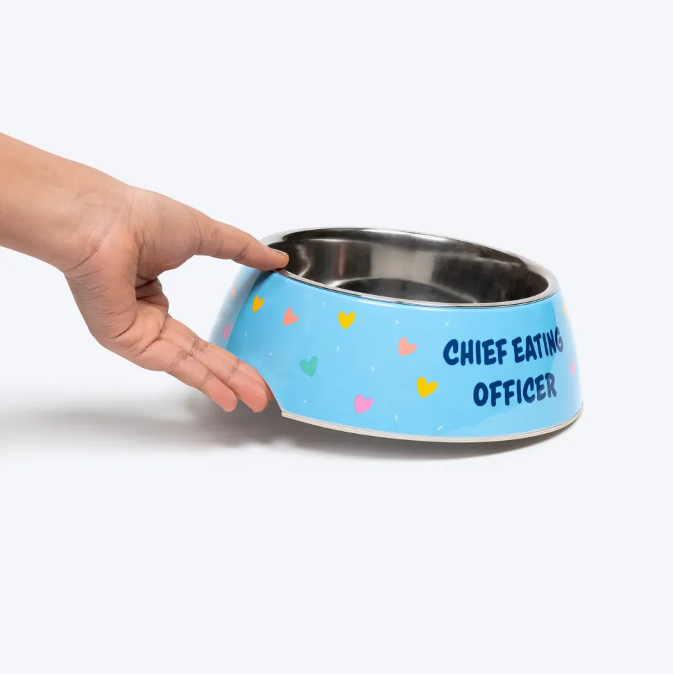 HUFT Chief Eating Officer Printed Melamine Bowl For Dog - Skyblue