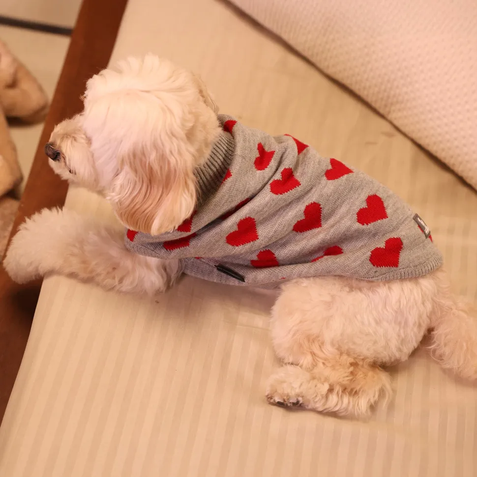 HUFT Classic Love Sweater For Small Dog - Grey