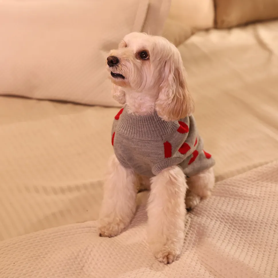 HUFT Classic Love Sweater For Small Dog - Grey