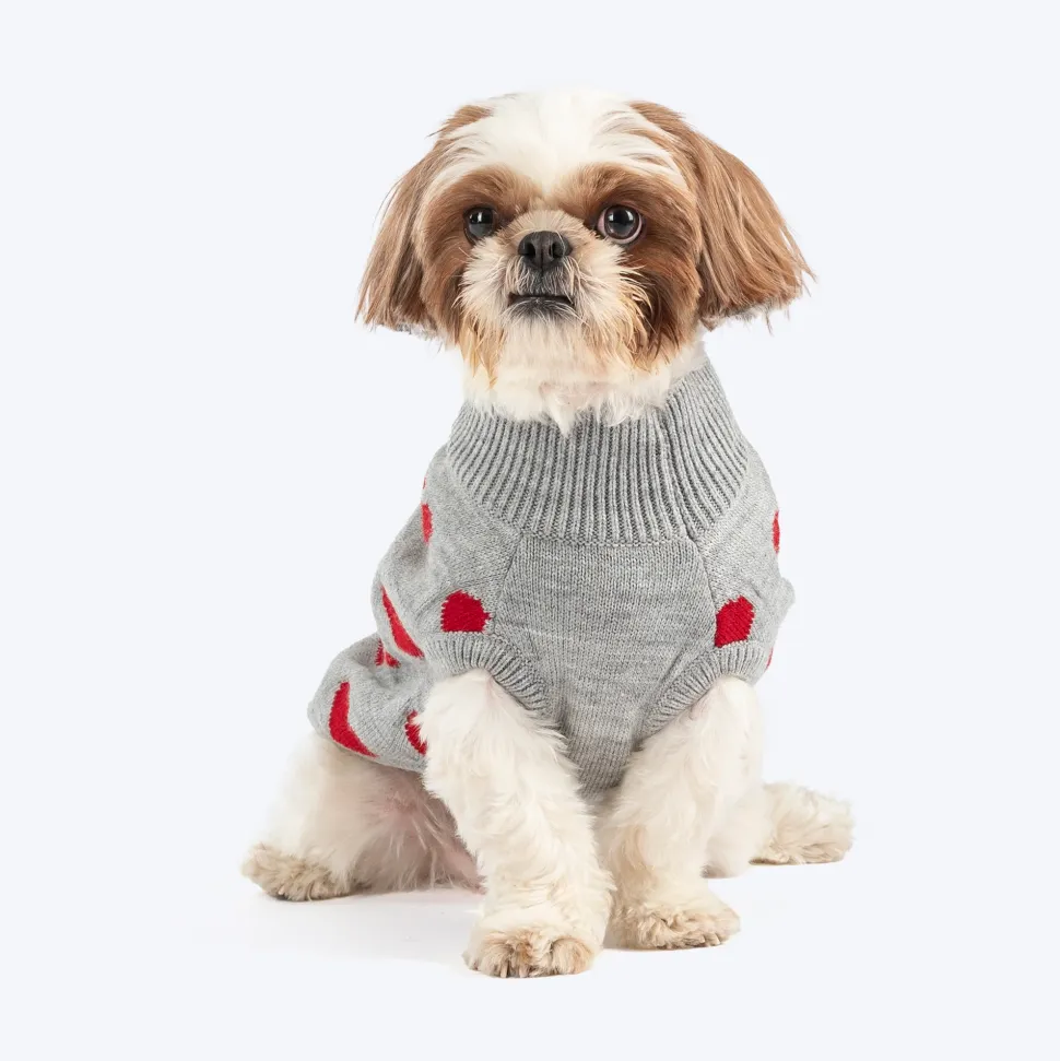 HUFT Classic Love Sweater For Small Dog - Grey
