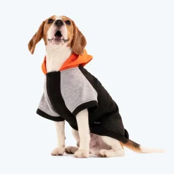 HUFT Colour Block Hoodie Sweatshirt For Dogs - Black