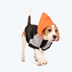 HUFT Colour Block Hoodie Sweatshirt For Dogs - Black