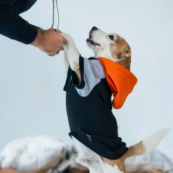 HUFT Colour Block Hoodie Sweatshirt For Dogs - Black