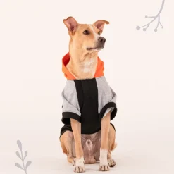 HUFT Colour Block Hoodie Sweatshirt For Dogs - Black