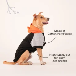 HUFT Colour Block Hoodie Sweatshirt For Dogs - Black