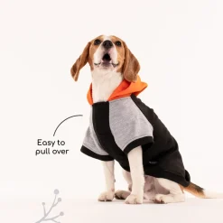 HUFT Colour Block Hoodie Sweatshirt For Dogs - Black
