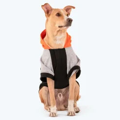 HUFT Colour Block Hoodie Sweatshirt For Dogs - Black