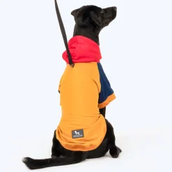 HUFT Colour Block Hoodie Pet Sweatshirt - Mustard