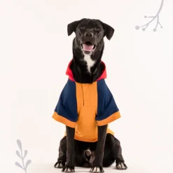 HUFT Colour Block Hoodie Pet Sweatshirt - Mustard