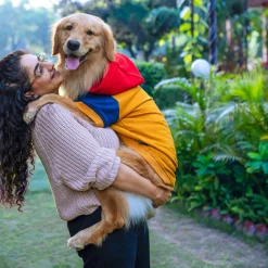 HUFT Colour Block Hoodie Pet Sweatshirt - Mustard