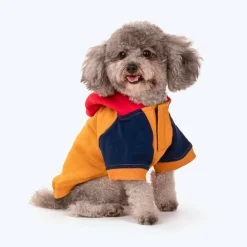 HUFT Colour Block Hoodie Pet Sweatshirt - Mustard