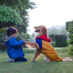 HUFT Colour Block Hoodie Pet Sweatshirt - Mustard