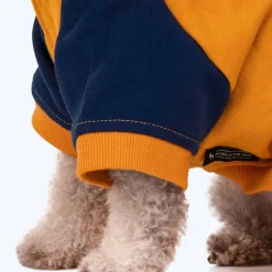 HUFT Colour Block Hoodie Pet Sweatshirt - Mustard