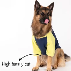 HUFT Colour Block Pocket Pet Sweatshirt - Neon Lime and Navy