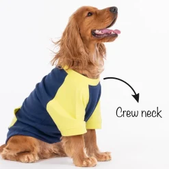 HUFT Colour Block Pocket Pet Sweatshirt - Neon Lime and Navy