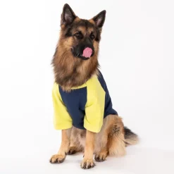 HUFT Colour Block Pocket Pet Sweatshirt - Neon Lime and Navy