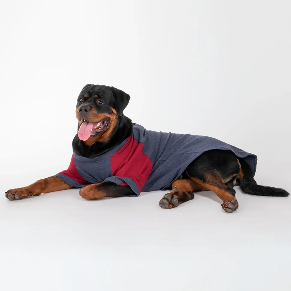 HUFT Colour Block Pocket Pet Sweatshirt - Blue Melange and Red