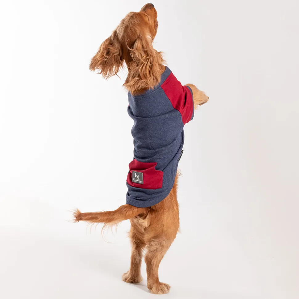 HUFT Colour Block Pocket Pet Sweatshirt - Blue Melange and Red