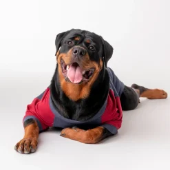 HUFT Colour Block Pocket Pet Sweatshirt - Blue Melange and Red