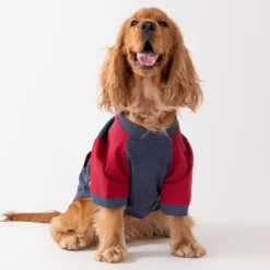 HUFT Colour Block Pocket Pet Sweatshirt - Blue Melange and Red
