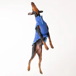HUFT Cosy Pupper Reversible Dog Jacket- Ocean Blue