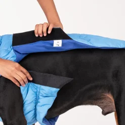 HUFT Cosy Pupper Reversible Dog Jacket- Ocean Blue