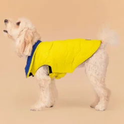 HUFT Cosy Pupper Reversible Dog Jacket - Lime Green