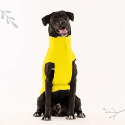 HUFT Cosy Pupper Reversible Dog Jacket - Lime Green