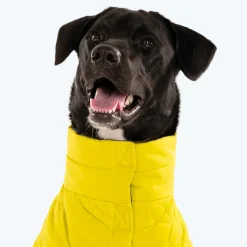HUFT Cosy Pupper Reversible Dog Jacket - Lime Green
